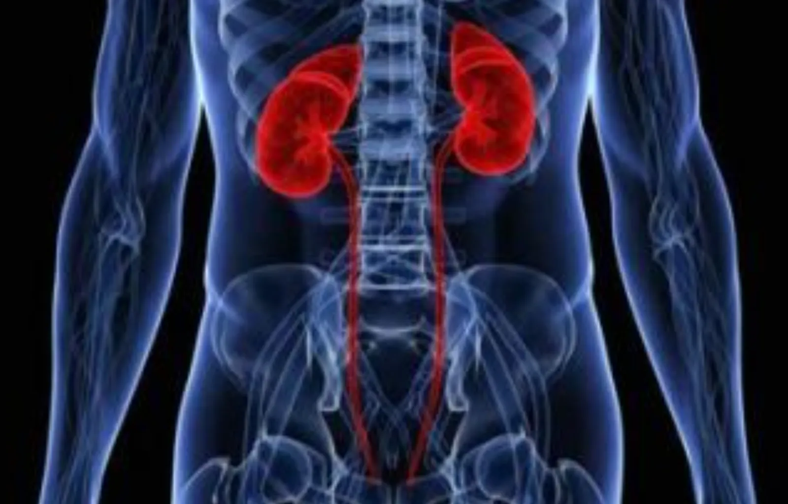 MALATTIE RENALI, A MILANO LA PRIMA CONSENSUS ITALIANA SULLA PROTEINURIA